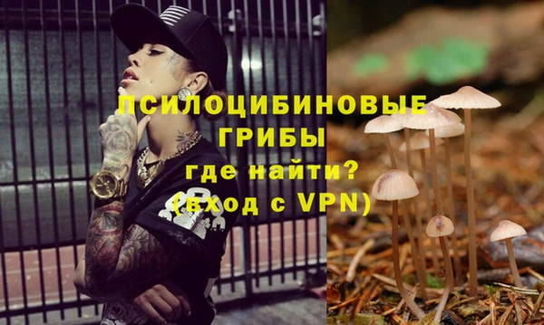 ГАЛЛЮЦИНОГЕННЫЕ ГРИБЫ Нефтегорск