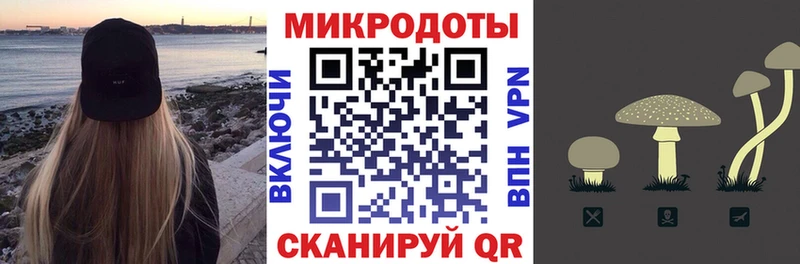 Псилоцибиновые грибы Psilocybine cubensis  kraken зеркало  Сураж  купить наркотики сайты 